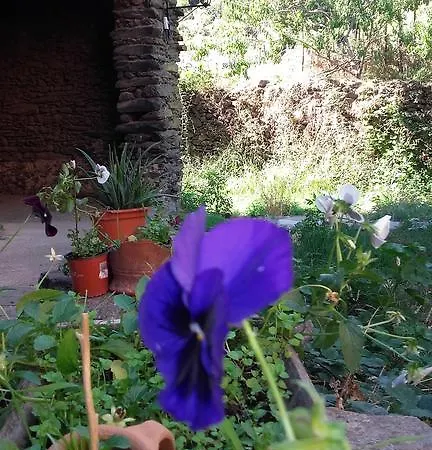 Balcones Del Río