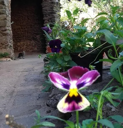 Balcones Del Río Casa rural