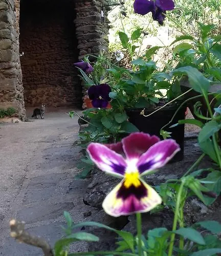 Balcones Del Río Casa de Campo